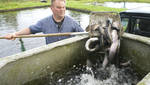Fischzucht Knutzen in Hohenlockstedt